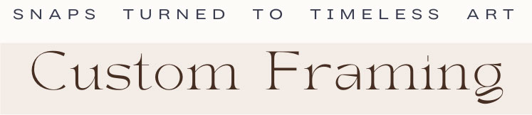 custom-frame-title