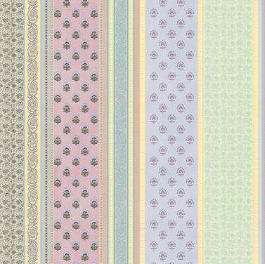 STRIPES & BORDER